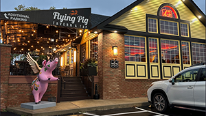 Flying Pig Limerick