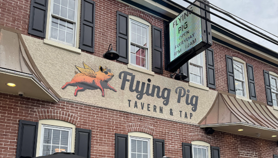 Flying Pig Limerick